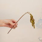 Hand holding artificial green birch foliage spray stem 