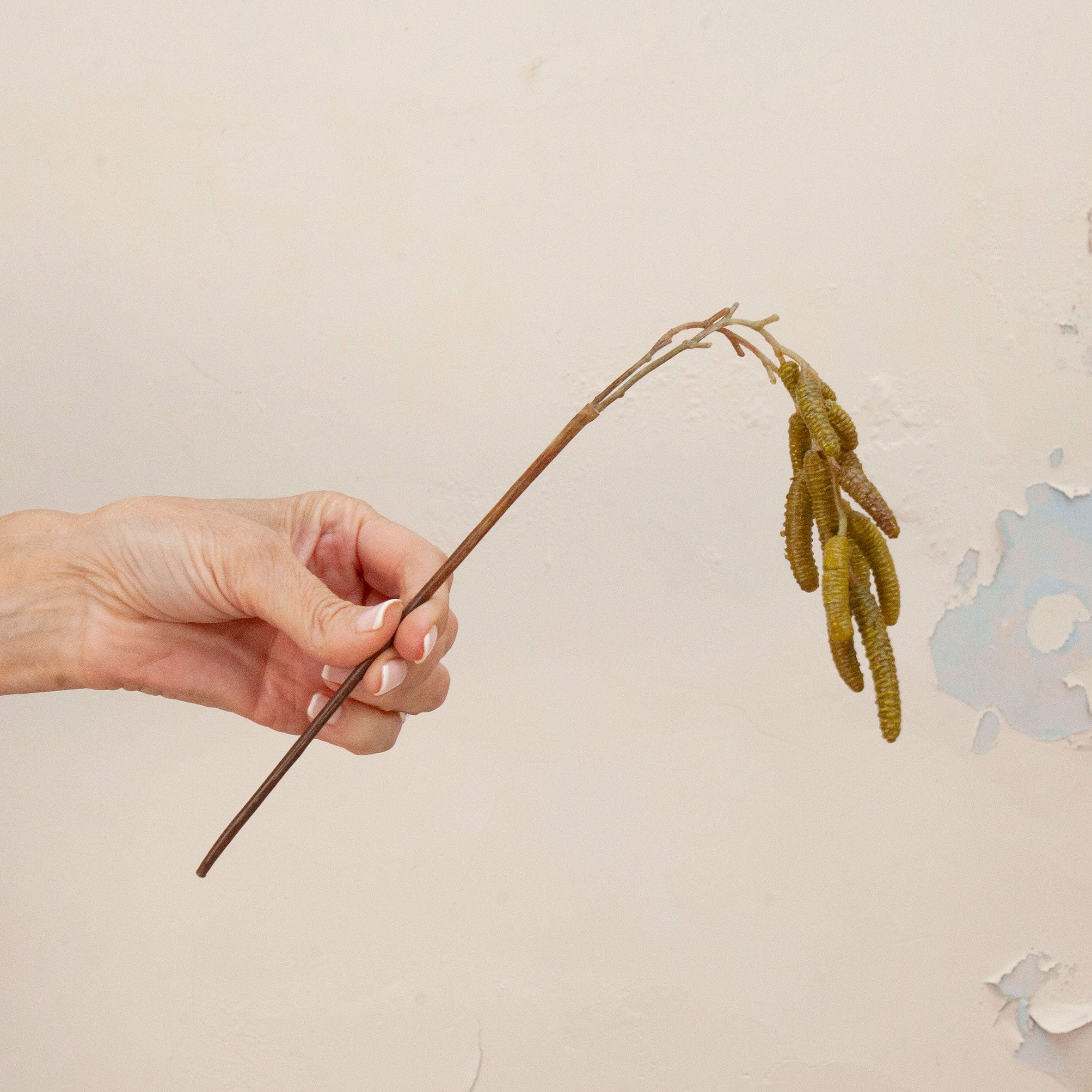 Hand holding artificial green birch foliage spray stem 
