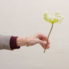Artificial cow parsley (Queen Anne’s lace) stem held in hand, featuring delicate white flower clusters and fine green stems