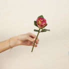 Hand holding artificial pink rose stem with green foliage 