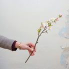 Artificial light pink blossom spray stem held in hand, featuring delicate flowers with yellow centres and budding tips