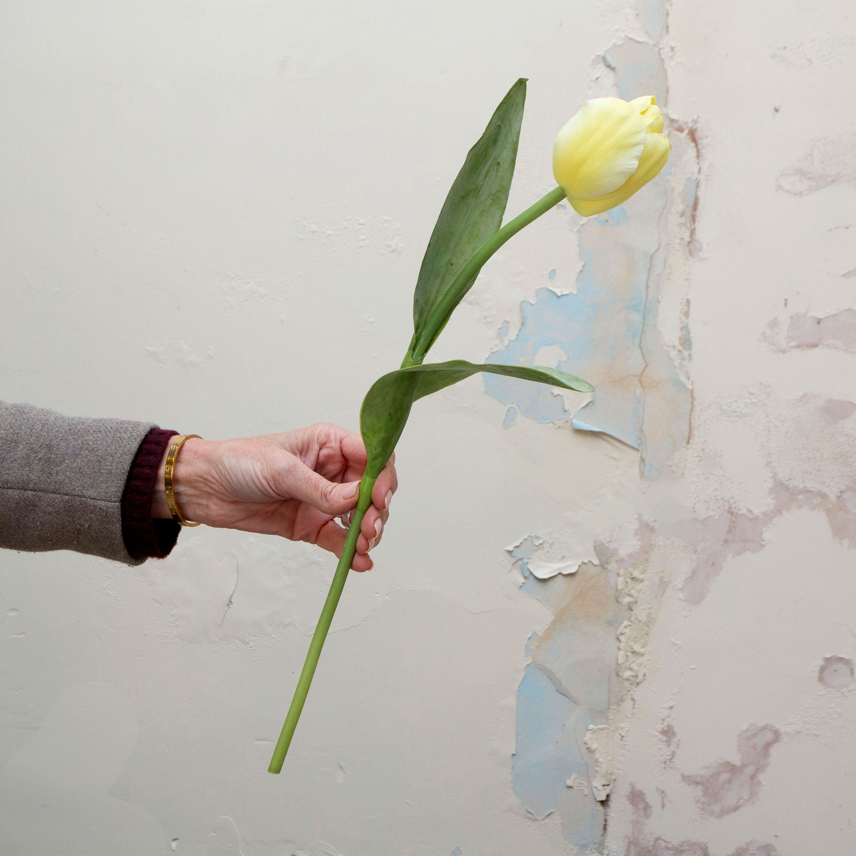 Artificial yellow tulip stem held in hand, featuring a closed tulip bud and green leaves