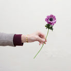 Artificial purple anemone stem held in hand, featuring an open bloom with dark centre and green stem