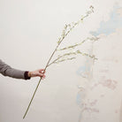 Artificial white dancing orchid stem held in hand, featuring delicate orchid blooms on a gracefully arching stem
