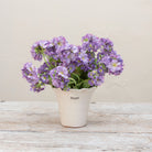 Artificial purple primula stems displayed together in a vase for styling purposes.