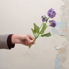 Artificial purple primula stem held in hand, featuring small clustered blooms and textured green leaves.