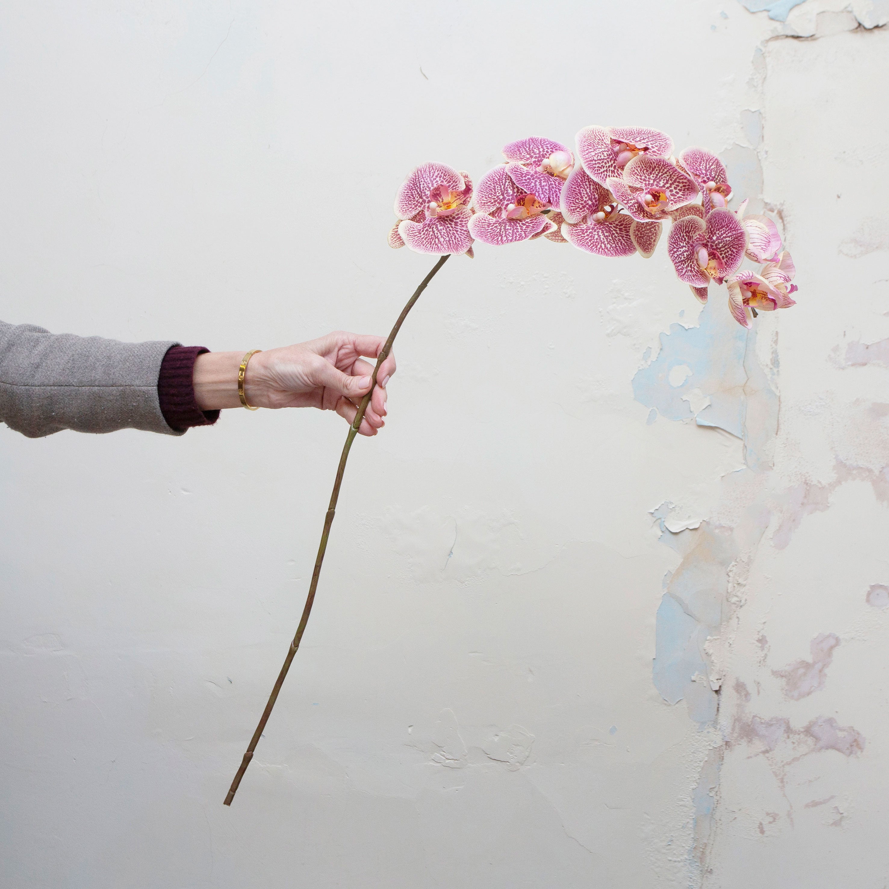 Artificial burgundy-pink orchid stem being held in hand, featuring curved sprays of open orchid blooms with delicate speckled petals, soft blush tones and a natural arching stem