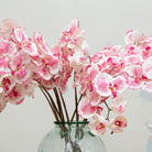 Close-up of artificial pink speckled orchid flowers, highlighting blush-white petals with vibrant pink speckling, warm yellow centres and lifelike texture and veining.”