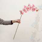 Artificial rose-pink orchid stem being held in hand, featuring softly speckled  blooms with warm yellow centres on a gently curved stem