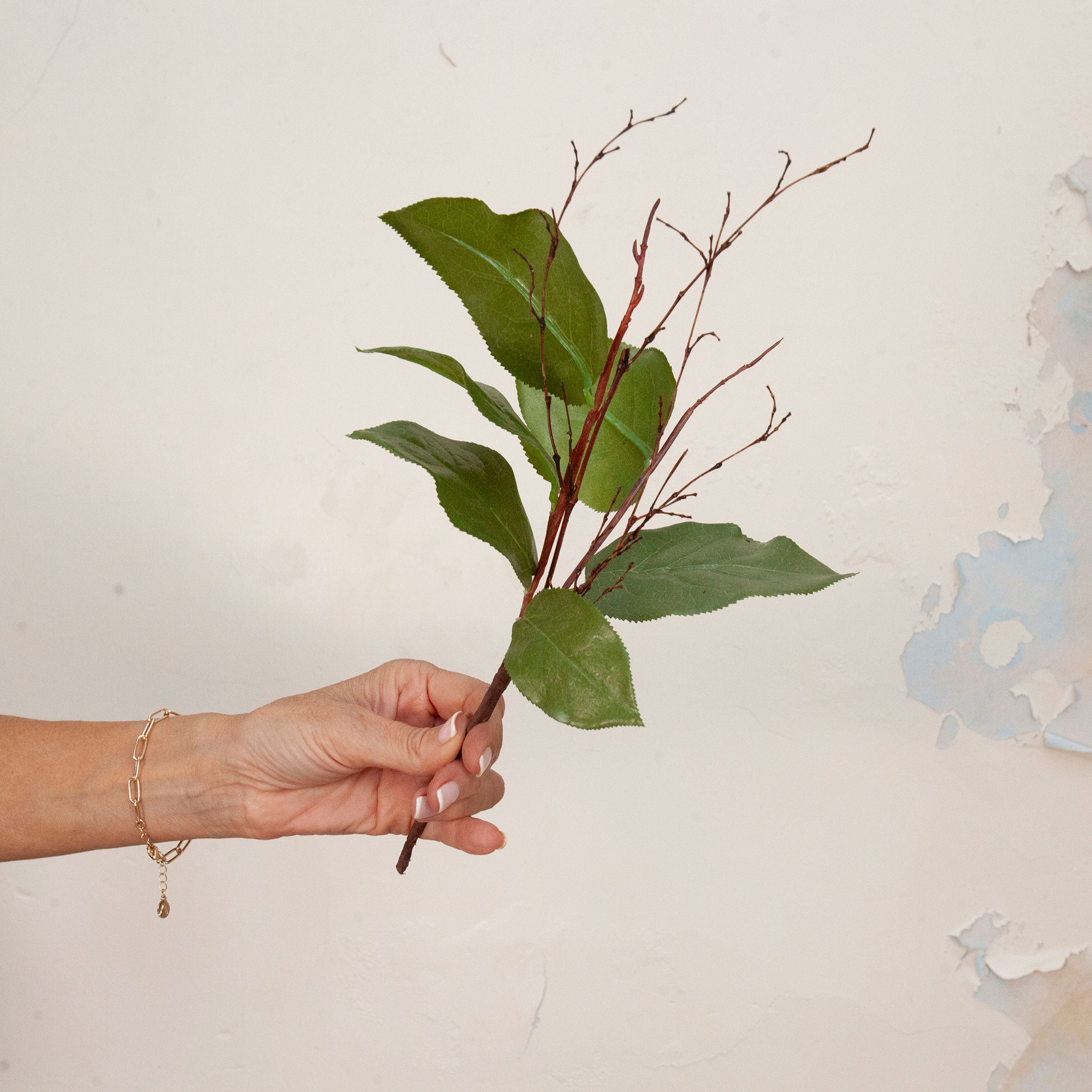 Hand holding artificial green salal leaf stems with delicate brown branches 