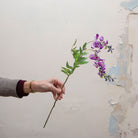 Artificial purple wisteria stem being held in hand, featuring cascading purple blooms with soft green foliage on a slender stem
