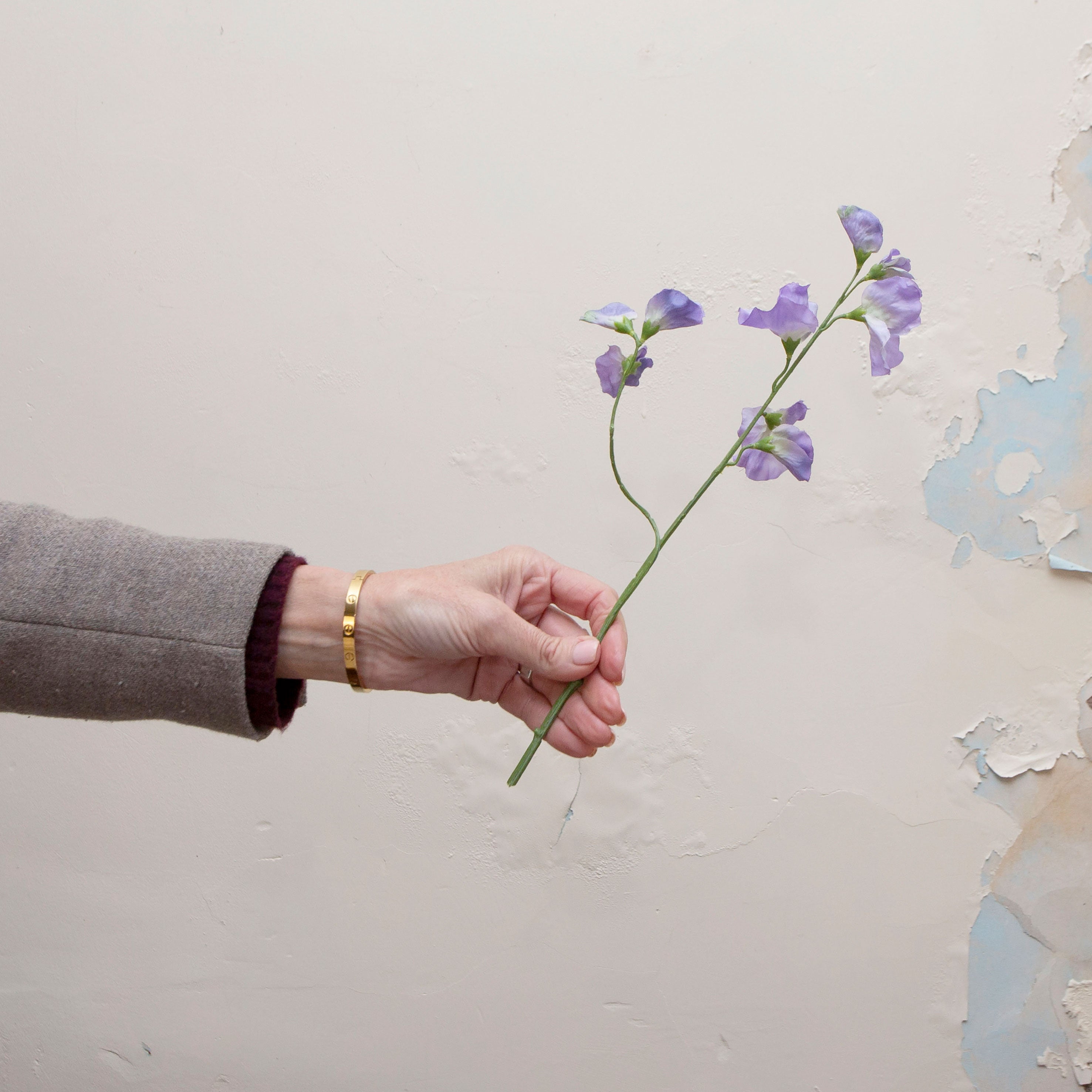 Artificial lavender-blue sweet pea stem held in hand, featuring delicate blooms on fine branching stems with green leaves
