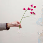 Artificial fuchsia sweet pea stem held in hand, featuring delicate fuchsia blooms on fine branching stems with green leaves.