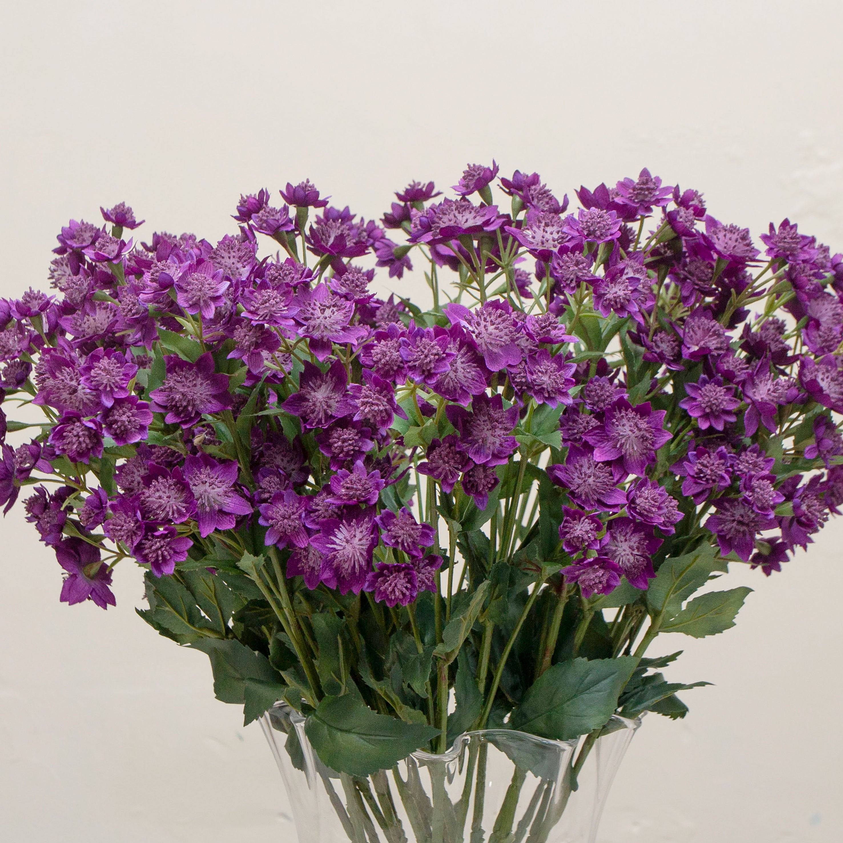 Close-up of artificial deep purple astrantia flowers, showing intricate star-shaped petals, raised pincushion centres and natural colour variation