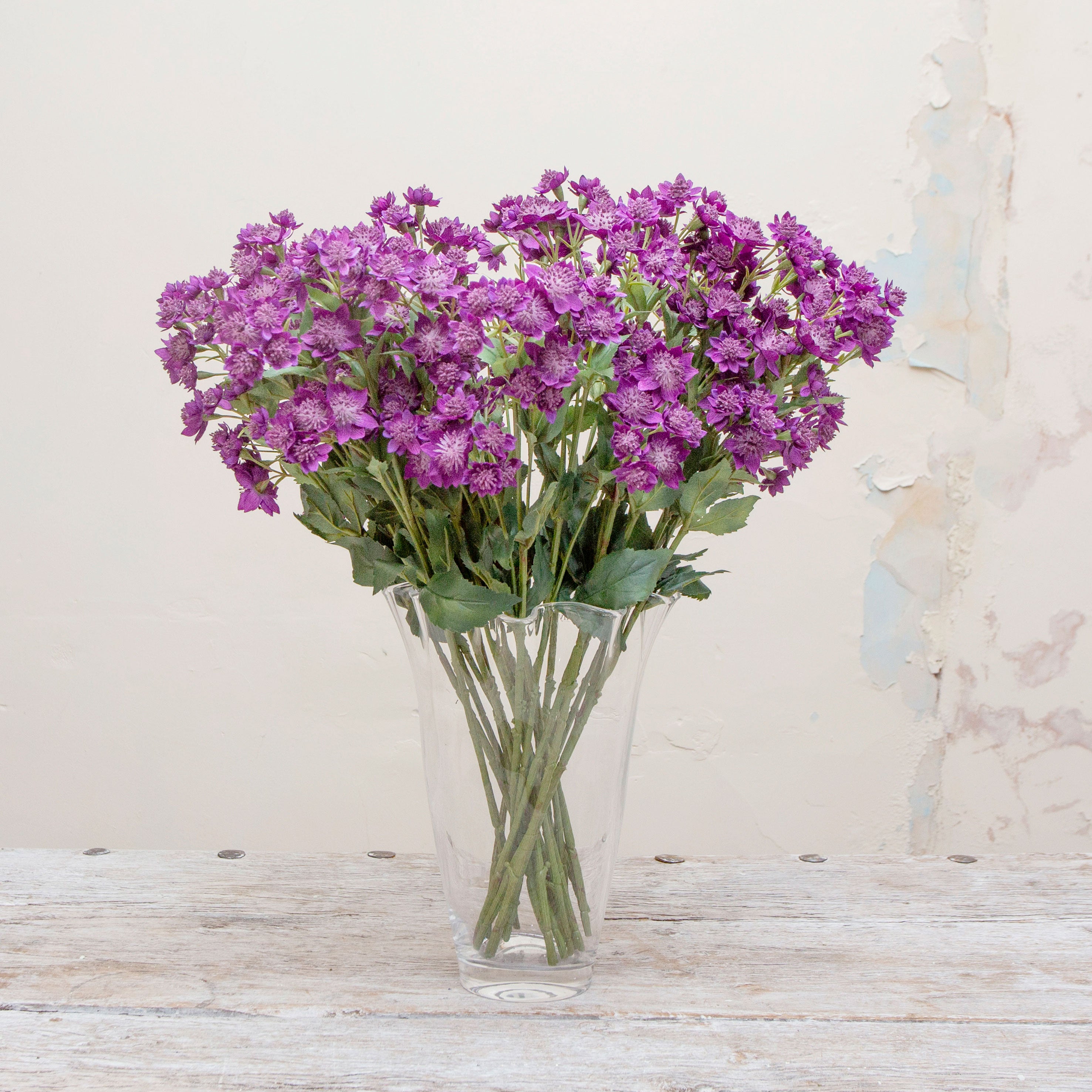 Artificial deep purple astrantia stem displayed in a vase, featuring airy branching stems, small star-like blooms and soft green foliage.