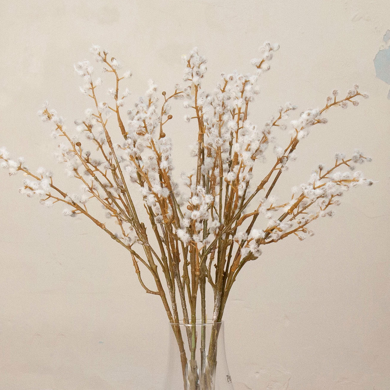 Close up of artificial cream and brown acacia spray stems displayed in a clear glass vase