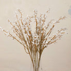 Close up of artificial cream and brown acacia spray stems displayed in a clear glass vase