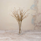 Artificial cream and brown acacia spray stems displayed in a clear glass vase