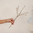 Hand holding artificial cream and brown acacia spray stem