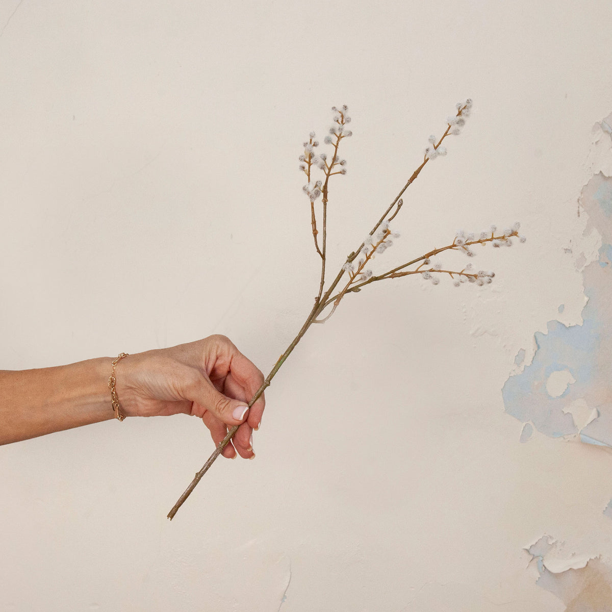 Hand holding artificial cream and brown acacia spray stem