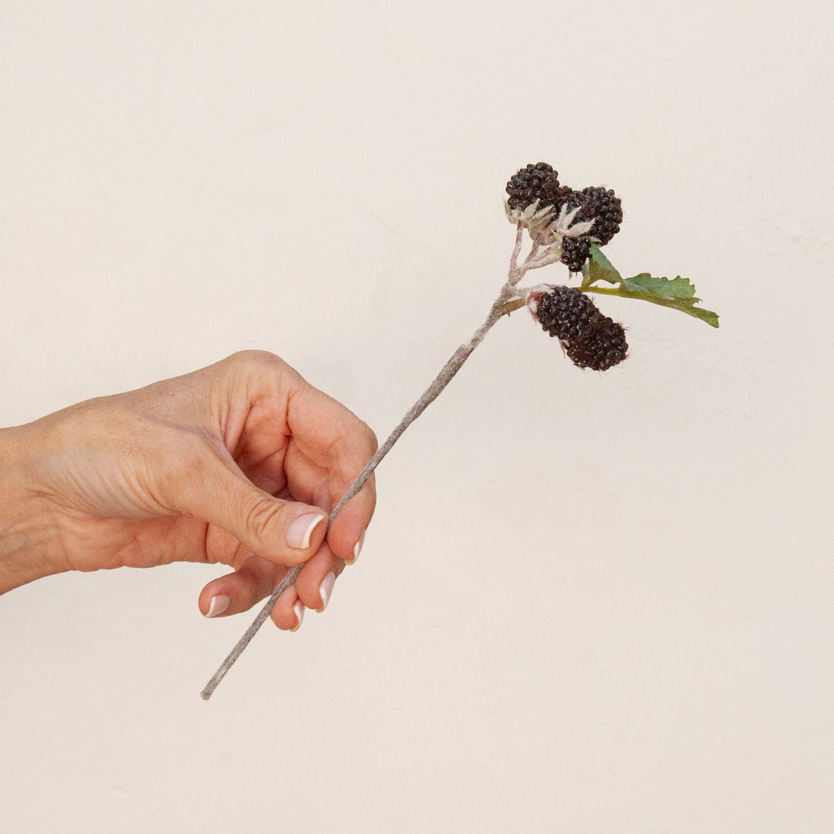 Hand holding artificial blackberry cluster stems with dark berries and green leaves 