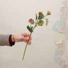 Artificial pink flowering viburnum stem being held in hand, featuring clustered pink buds and small blossoms with soft green leaves on a natural-look stem.