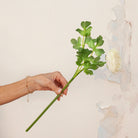 Hand holding artificial Ranunculus Spray Stem with white ranunculus flowers, buds and green foliage