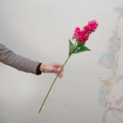 Artificial bright pink conehead hydrangea stem held in hand, featuring dense clustered blooms on an upright green stem
