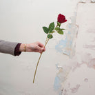 Artificial red Real Touch Rose with Foliage on a Long Stem 