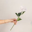Hand holding Artificial White Dahlia Stem with full white blooms and realistic green foliage 