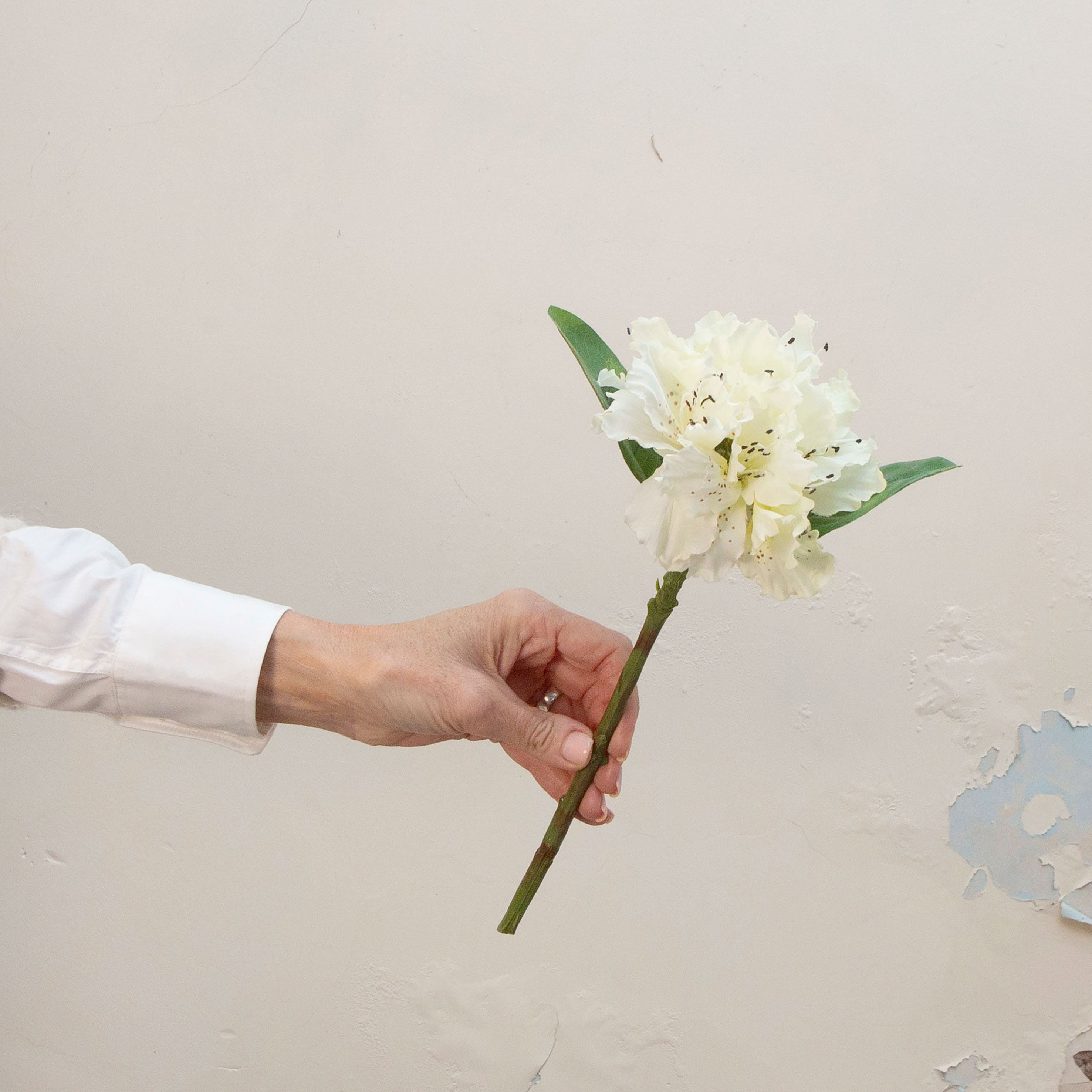 Artificial bridal white rhododendron stem pick held in hand, featuring soft clustered blooms and green leaves 