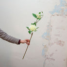 Artificial bridal white rhododendron stem held in hand, featuring soft clustered blooms and green leaves on a woody stem.
