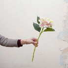 Artificial soft cream hydrangea stem with blush peach detailing held in hand, featuring clustered blooms and green leaves