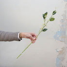 Artificial bridal white wild berry stem held in hand, featuring small clustered berry buds on a slender green stem with leaves
