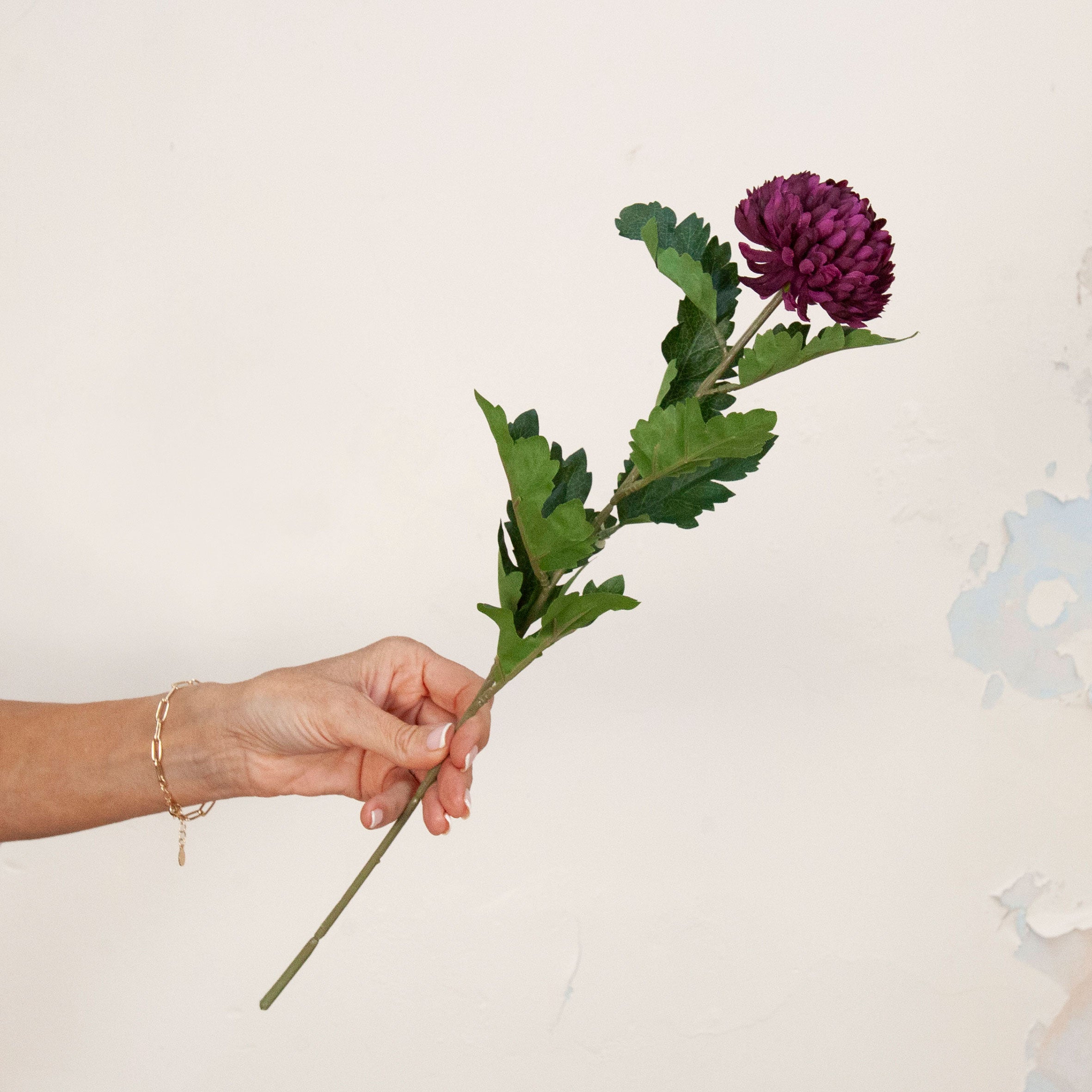 Hand holding Artificial Chrysanthemum Stem with rich burgundy blooms and realistic green foliage
