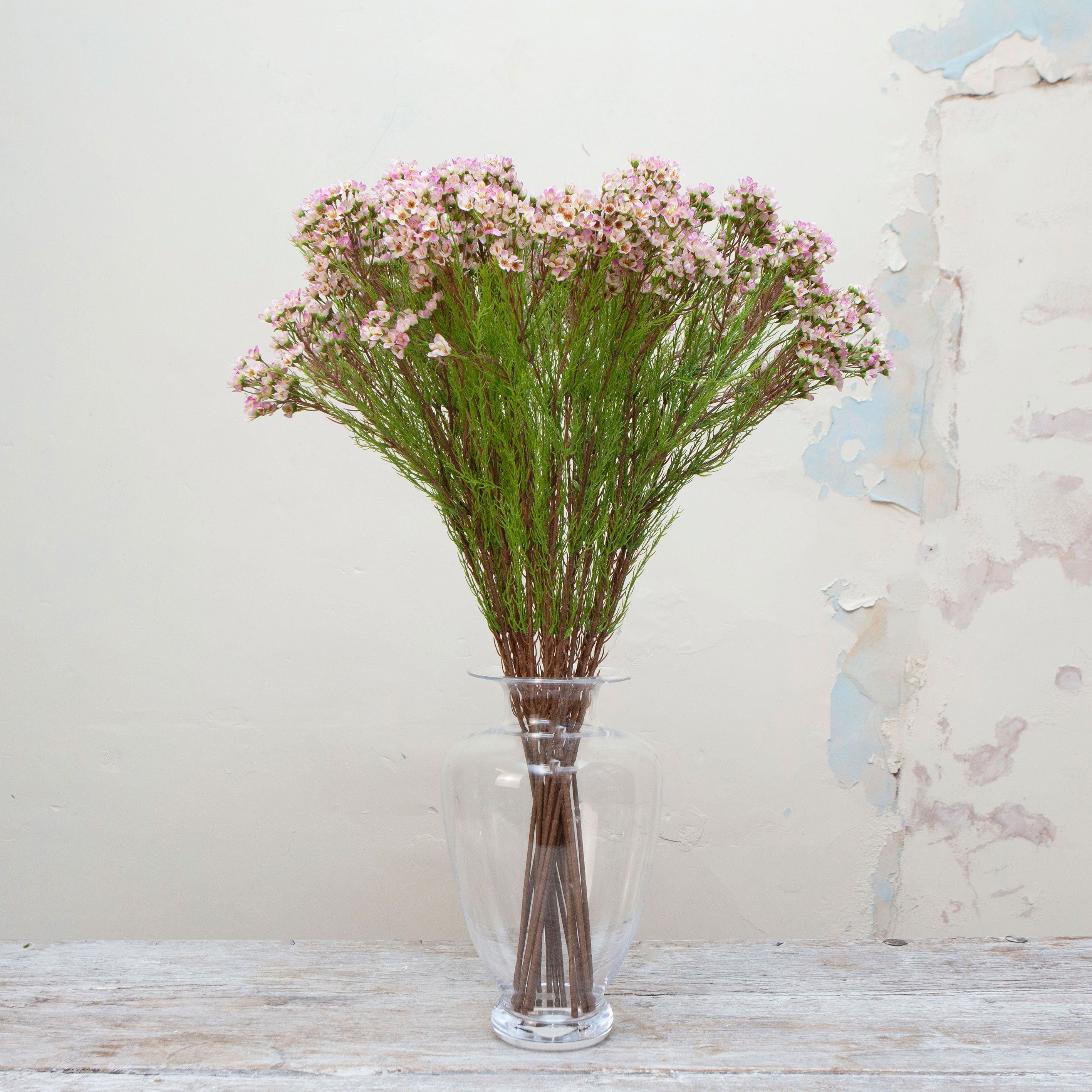 Artificial pale pink waxflower spray stems displayed together in a vase for styling purposes.
