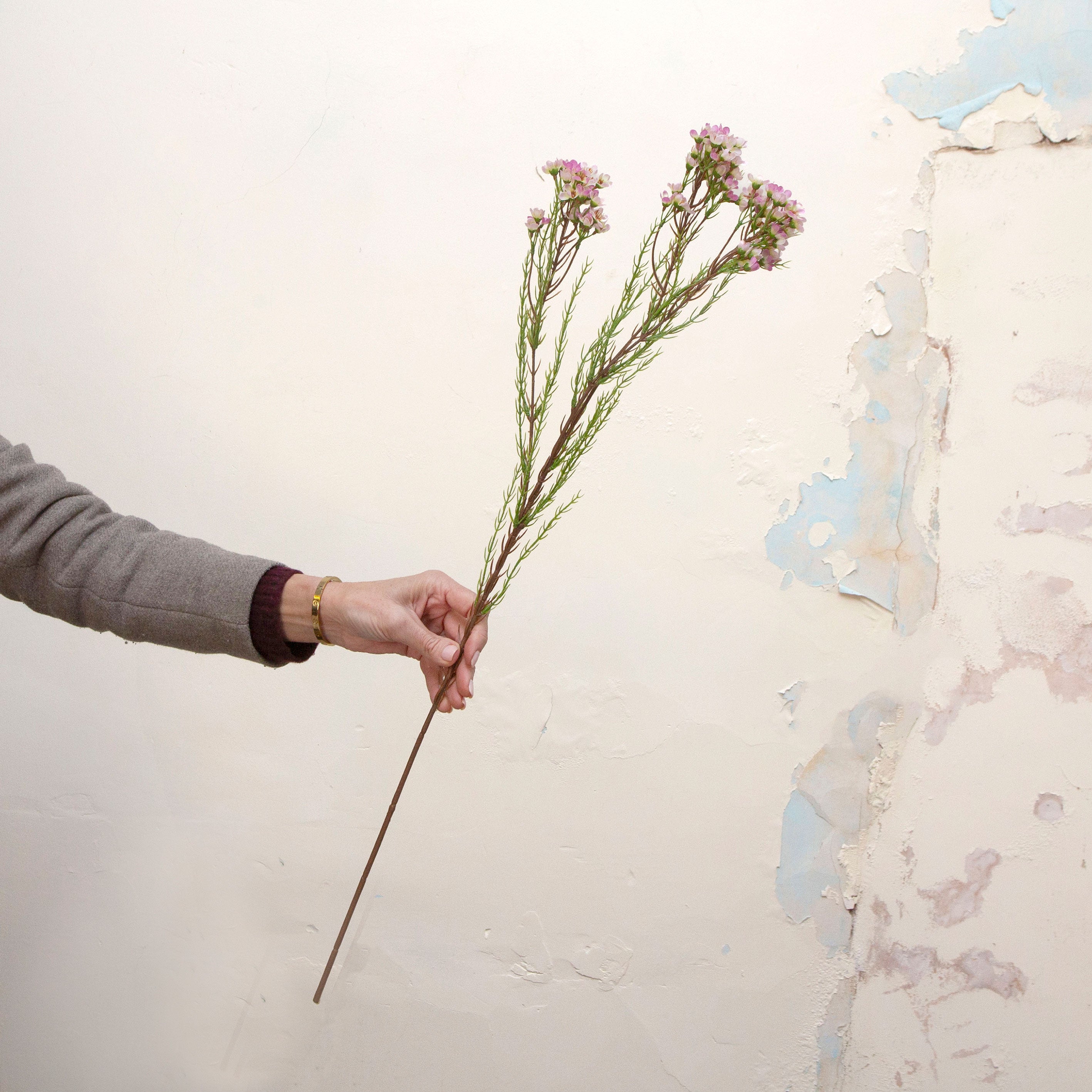 Artificial pale pink waxflower spray stem held in hand, featuring small clustered blooms on fine branching stems