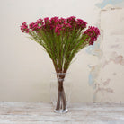 Artificial fuchsia pink waxflower spray stems displayed together in a vase for styling purposes.