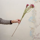 Artificial fuchsia pink waxflower spray stem held in hand, featuring small clustered blooms on fine branching stems