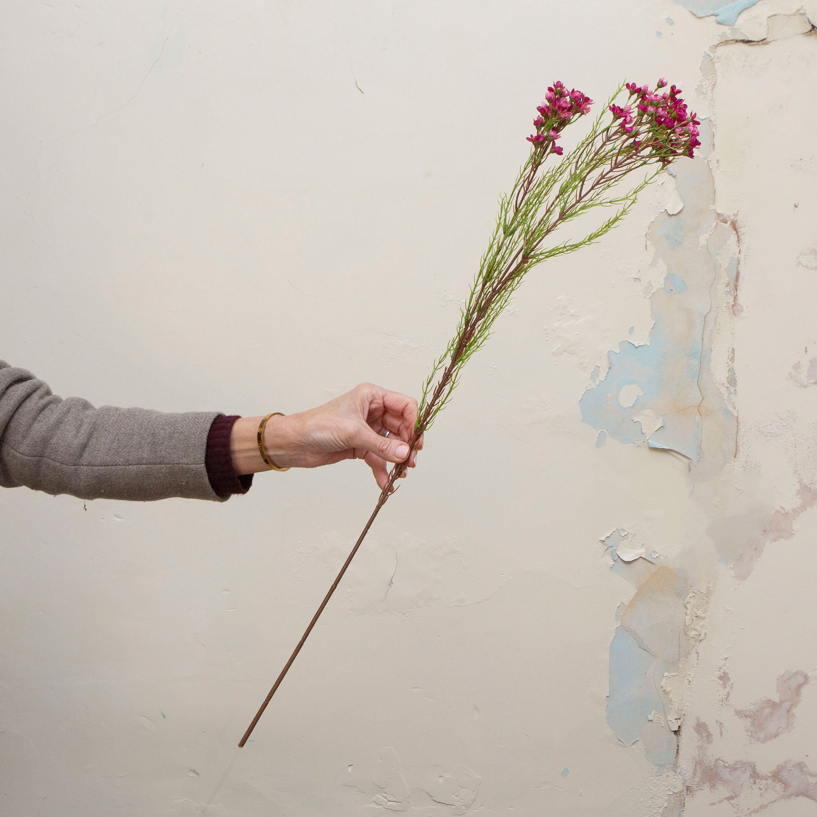 Artificial fuchsia pink waxflower spray stem held in hand, featuring small clustered blooms on fine branching stems
