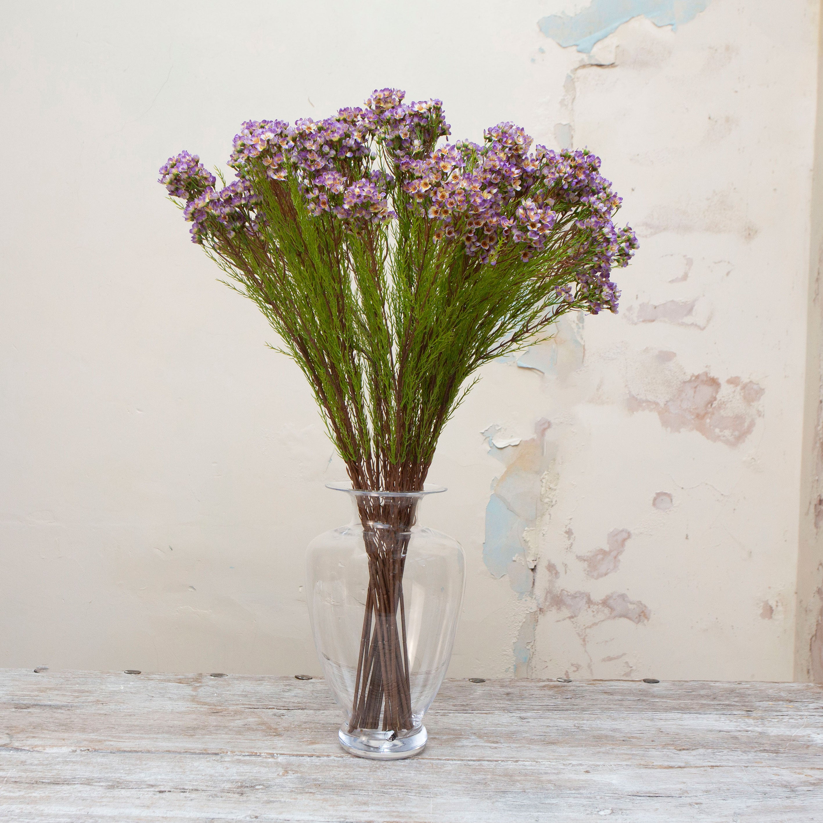 Artificial pale purple waxflower spray stems displayed together in a vase for styling purposes.