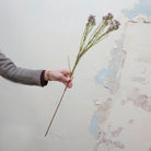 Artificial pale purple waxflower spray stem held in hand, featuring small clustered blooms on fine branching stems