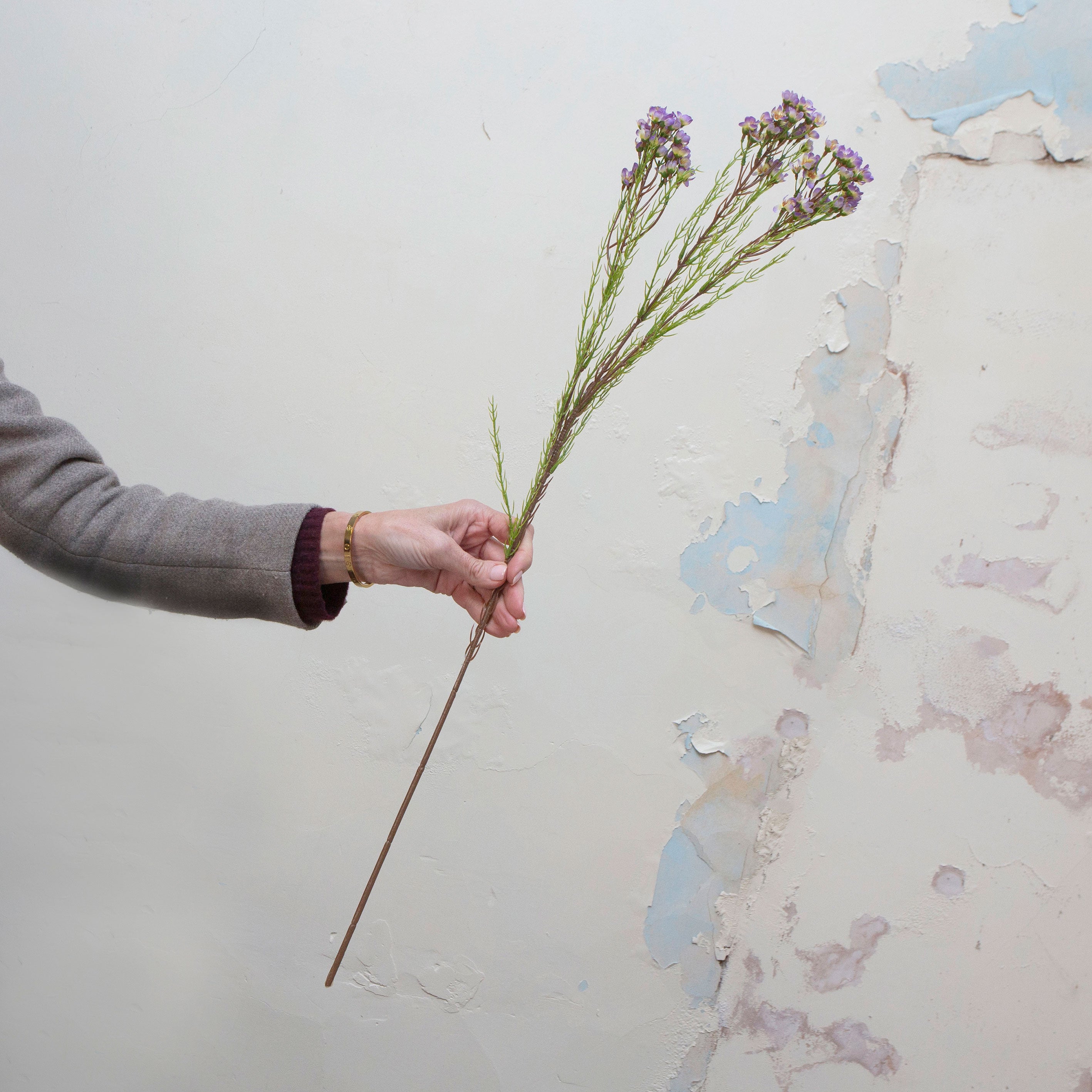 Artificial pale purple waxflower spray stem held in hand, featuring small clustered blooms on fine branching stems