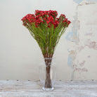 Artificial red waxflower spray stems displayed together in a vase for styling purposes.
