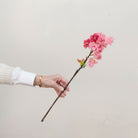 Artificial pink cherry blossom stem held in hand, featuring clustered blossoms and natural branching.