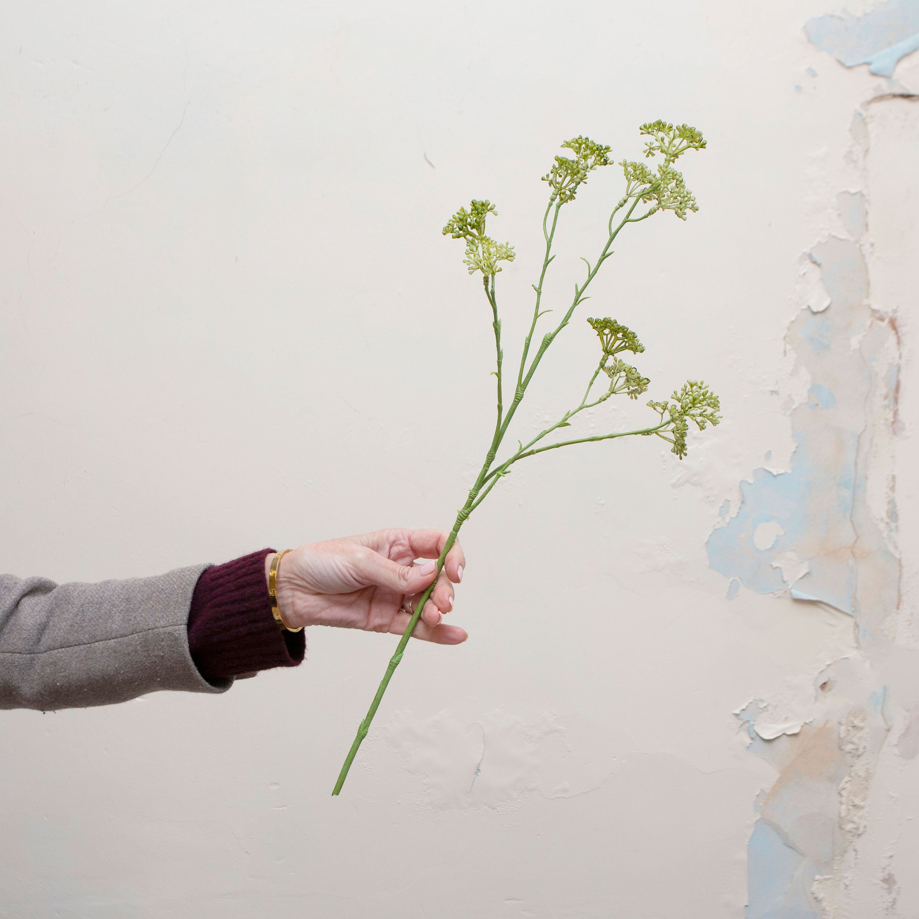 Artificial green patrinia stem held in hand, featuring fine textured foliage
