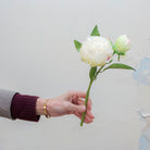 Artificial cream peony stem held in hand, featuring a full open peony bloom and a closed bud with green foliage.