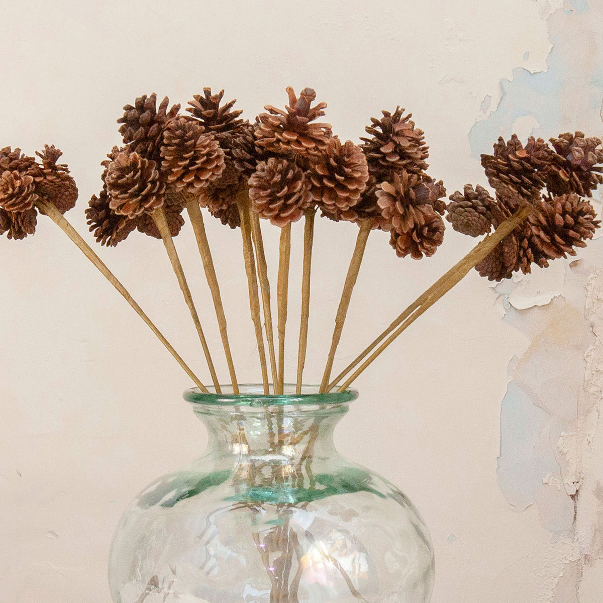 Close up of Artificial Pine Cone Stems with natural brown pine cones on long stems displayed in a clear green-tinted glass vase