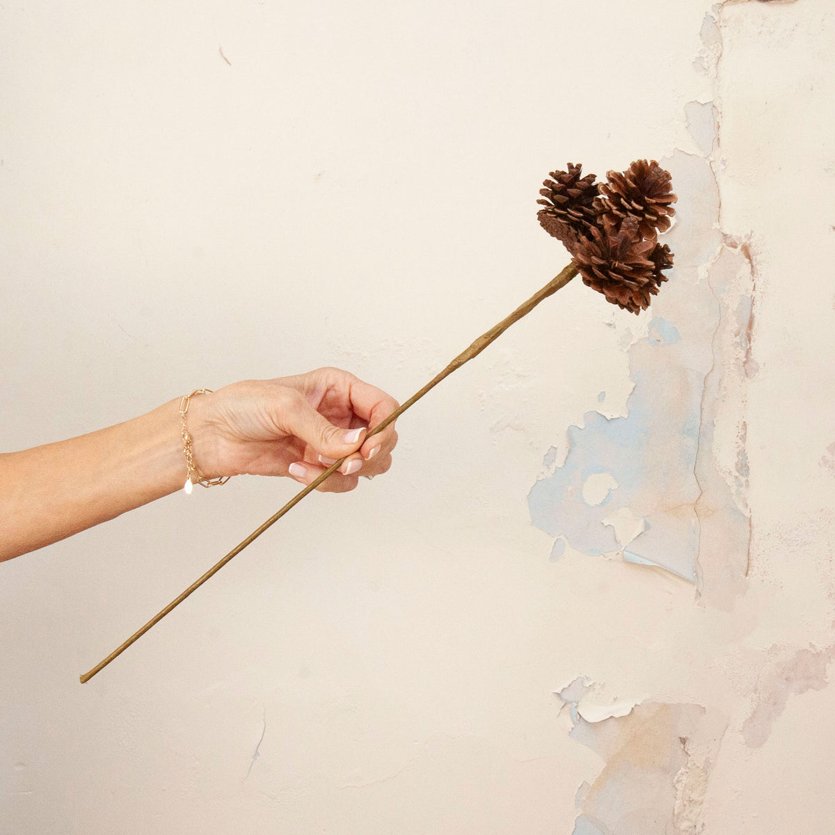 Hand holding Artificial Pine Cone Stem with natural brown pine cones  on long stem
