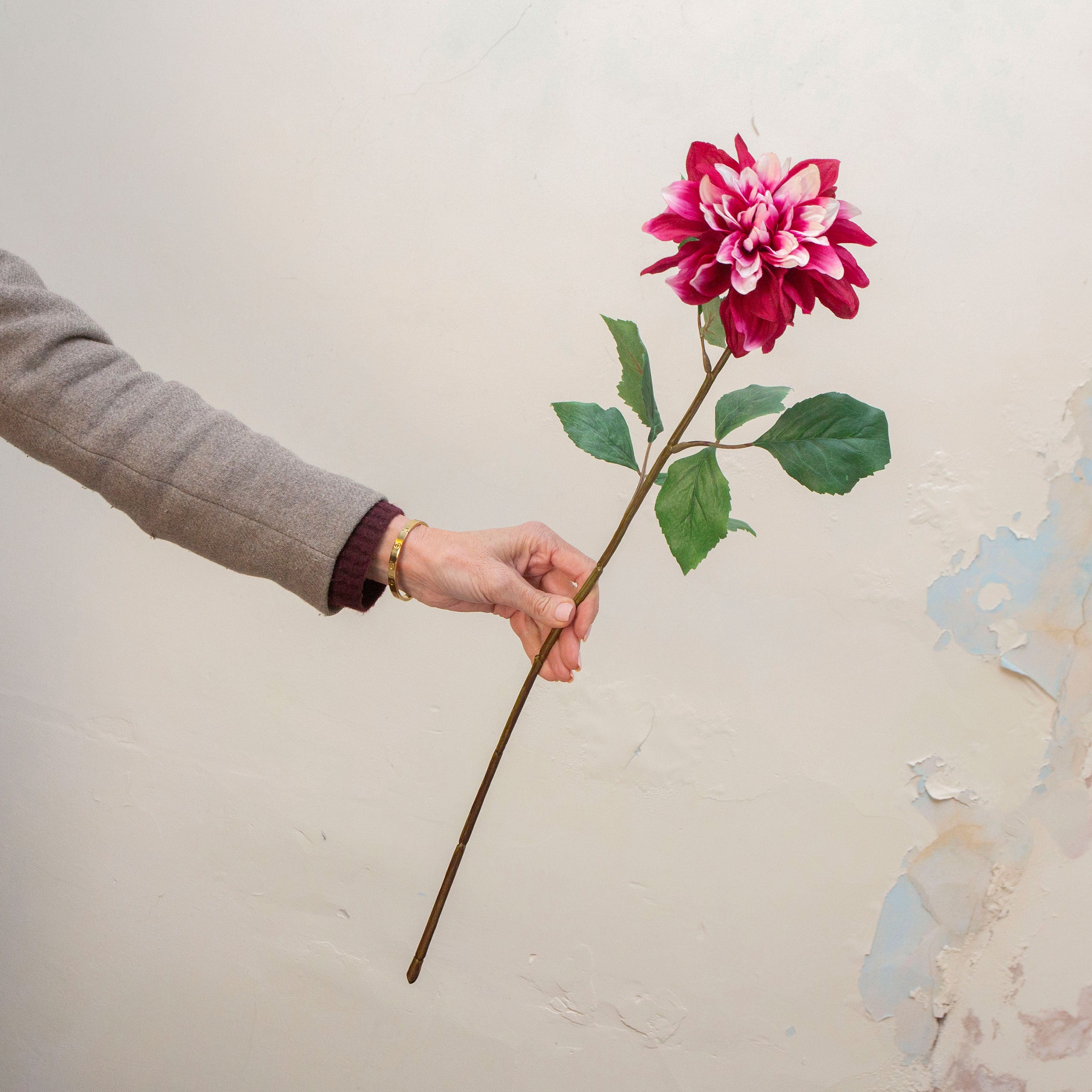 Hand holding an artificial magenta dahlia stem with some white petals mixed in.